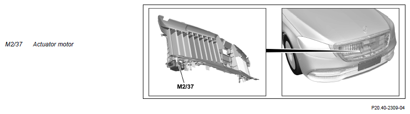G15379555