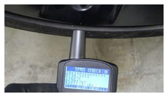 G15411333
