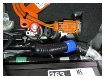 G15411750
