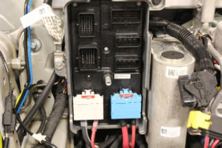 G15437396