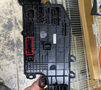 G15437452