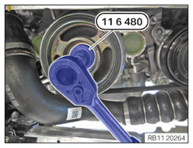 G15457808