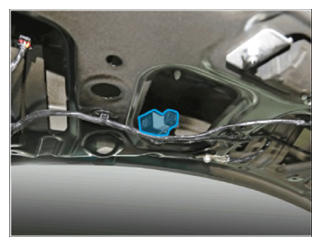 G15463077