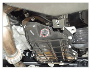 G15476779