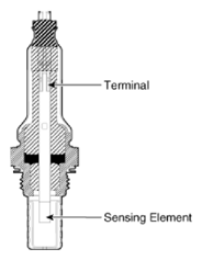 G15557019