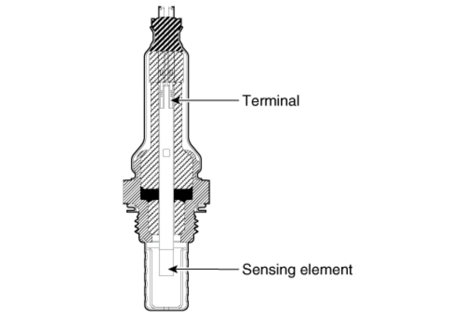 G15586802