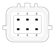 G15591605