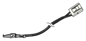 G15616255