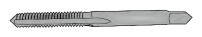 G15616258
