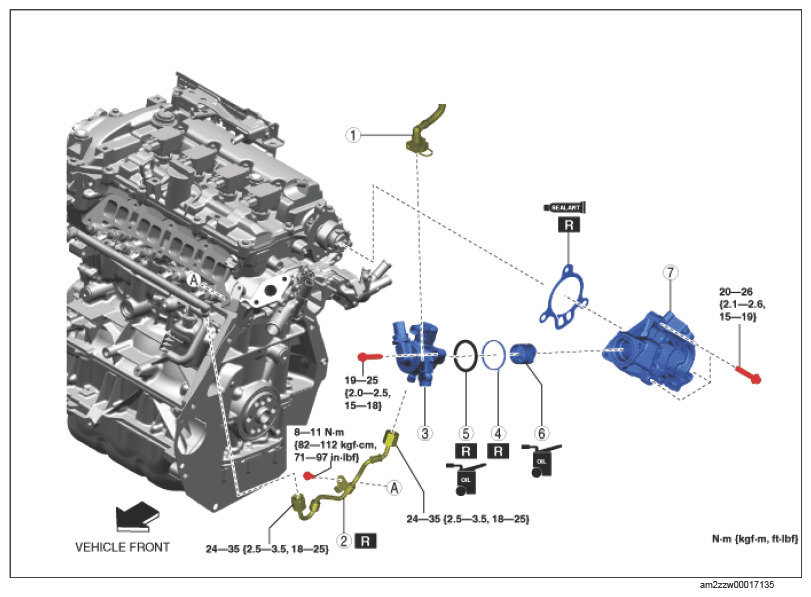 G15653846