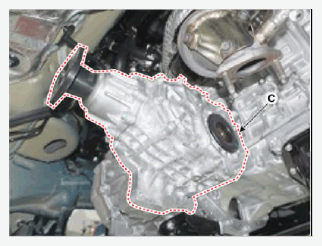 G15693818