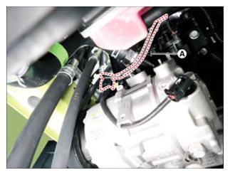 G15717237