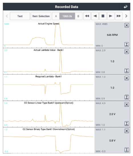 G15726889