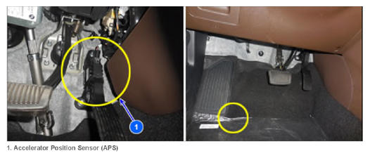 G15729465