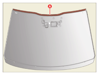 G15789979