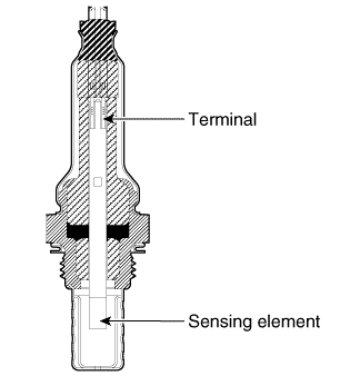 G16172496