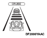 G16317237
