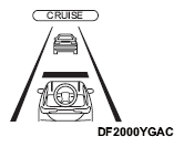 G16317245