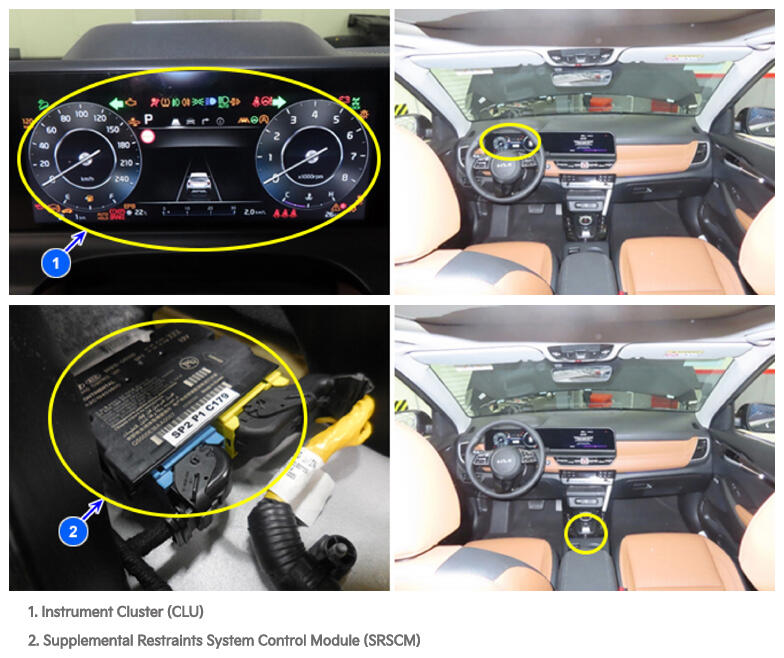 G16429658