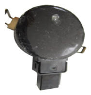 G16774798