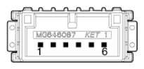 G16775028