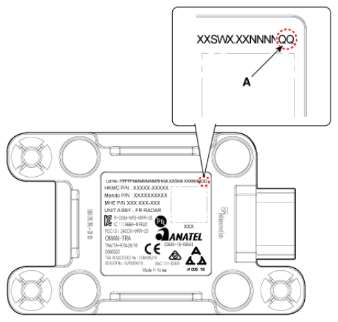 G16856654