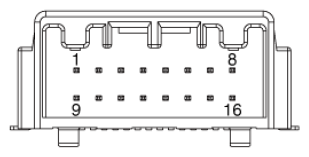 G16877116