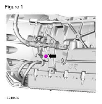 G17037179