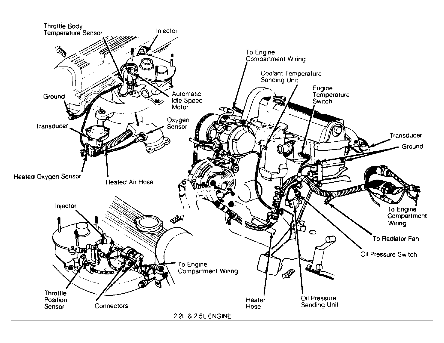 G53753
