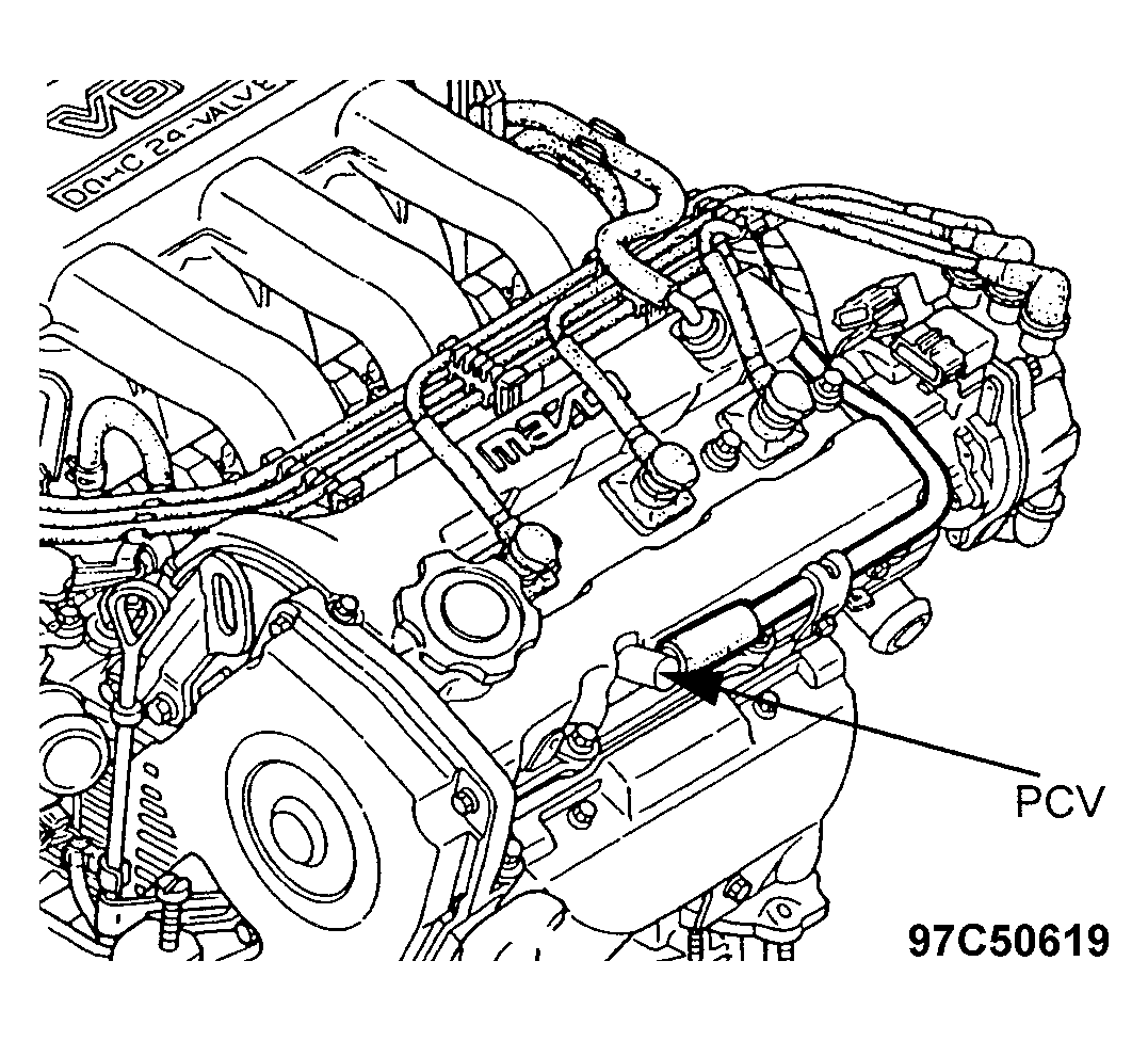 G97C50619