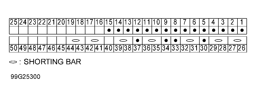 G99G25300