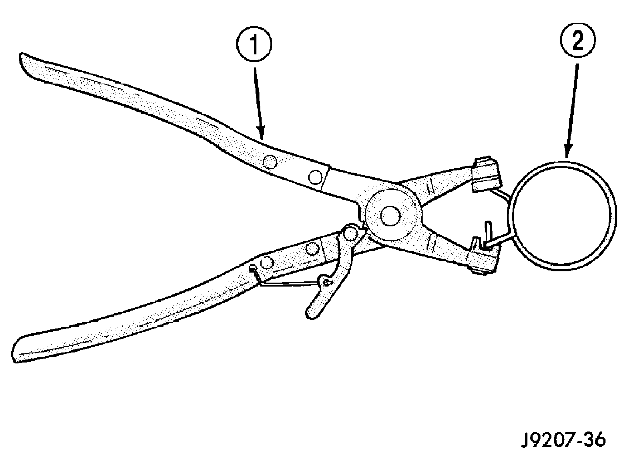 GC0010135