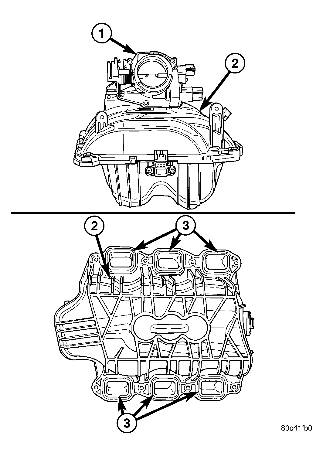GC0011834