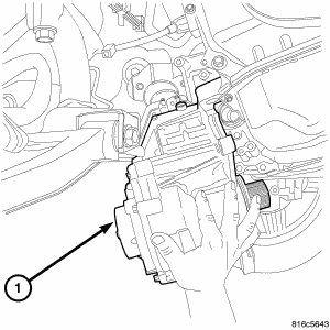 GC0056205