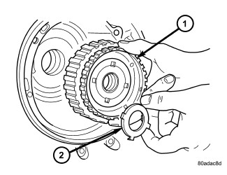 GC0081351