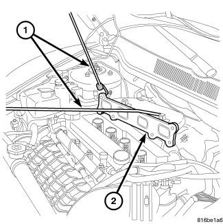 GC0084381