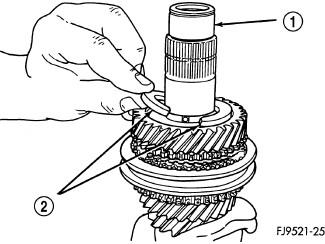 GC0099019