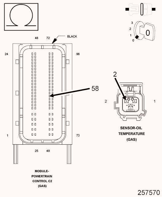 GC0099806