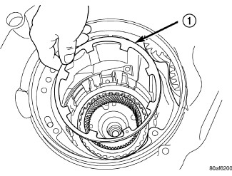 GC0115596