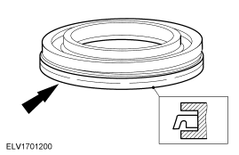 GF0025006