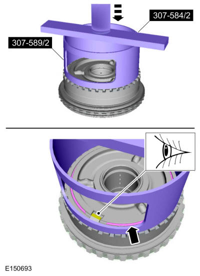 GFD20299