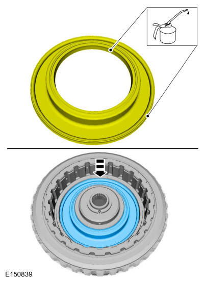 GFD20319