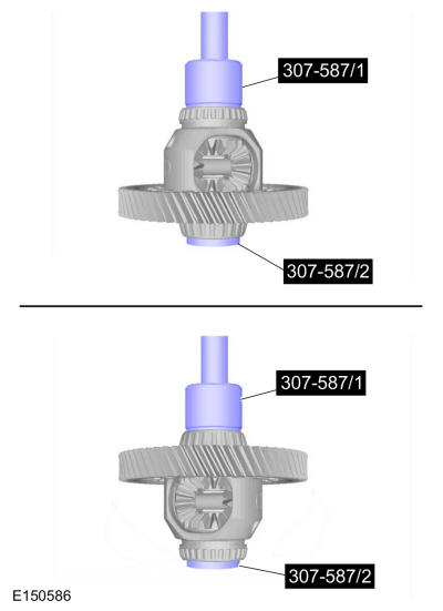 GFD223806