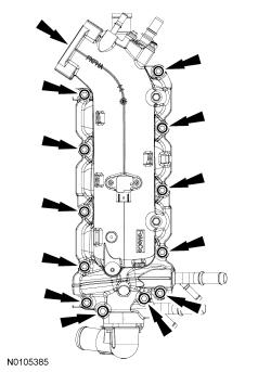 GFD231202