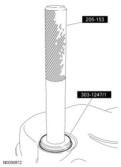 GFD231213