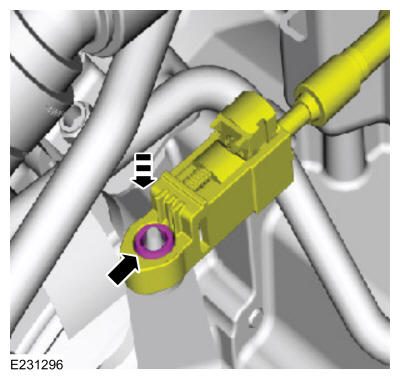 GFD237568