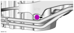GFD33155