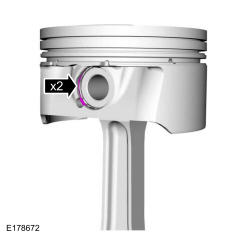 GFD33295