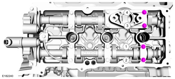 GFD33338