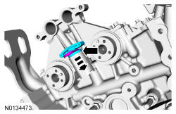 GFD337807